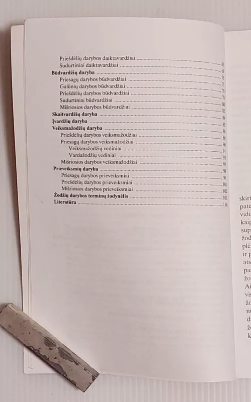 Bendrinės lietuvių kalbos žodžių daryba - Stasys Keinys, knyga 5