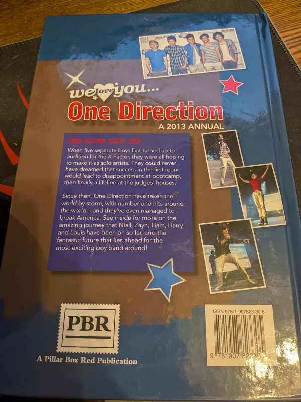 One direction A 2013 ANNUAL - Autorių grupė, knyga 2