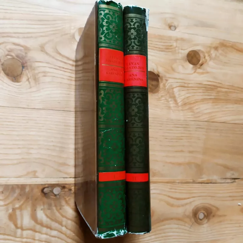 Ana Karenina (I, II tomai) - Levas Tolstojus, knyga 4