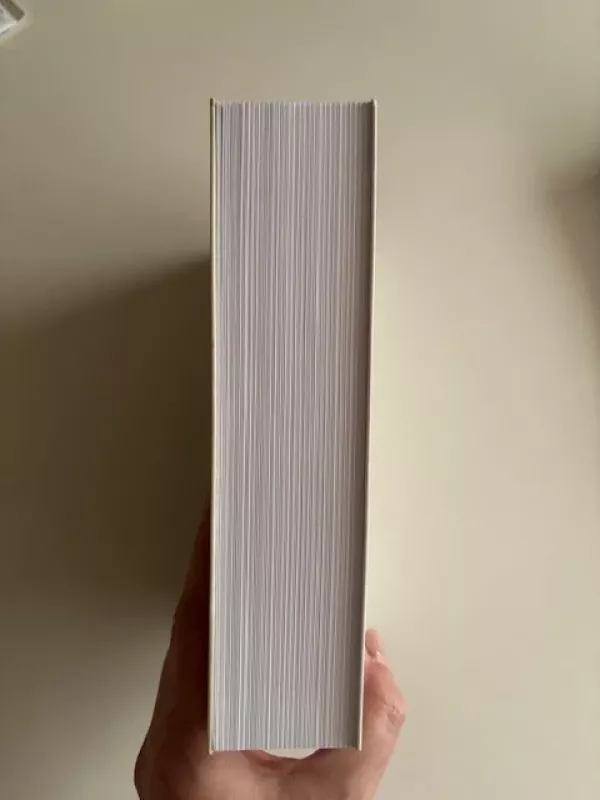 Užburtas kalnas - Thomas Mann, knyga 4