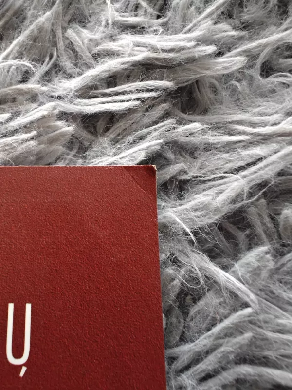 Nusikaltimų kontrolė kaip pramonė - Nils Christie, knyga 4