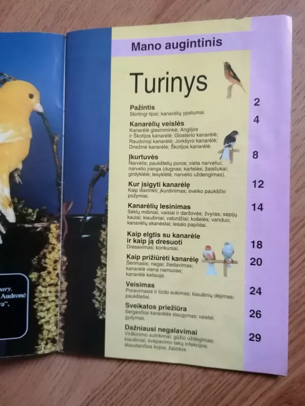 Mano augintinis vokiečių aviganis, akvariumo žuvelės,papugele, Kanarele, žiurkėnas, sausumos vezlys - Autorių kolektyvas, knyga 4