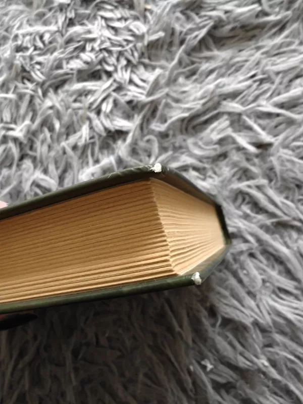 Morganos kryžius - Nora Roberts, knyga 3