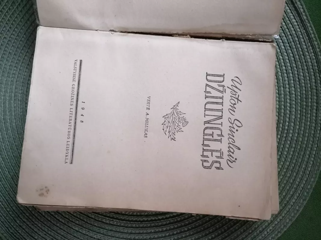 Džiunglės - Upton Sinclair, knyga 5