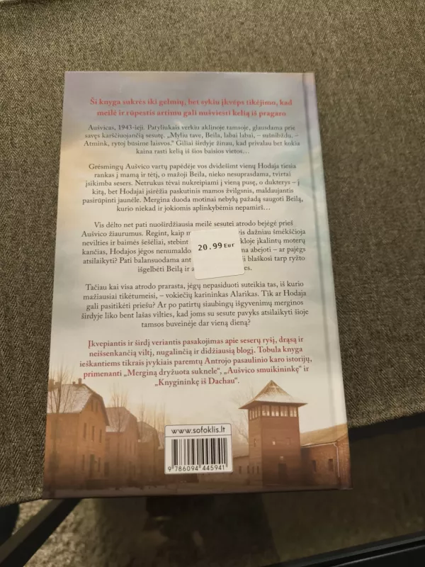 Pažadas seseriai - S.E. Rutledge, knyga 3