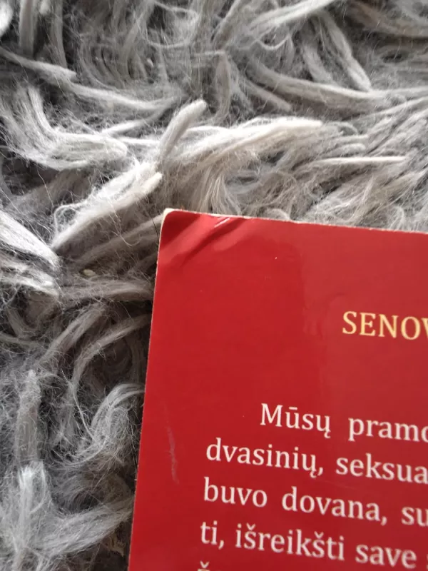 Raudonasis mėnulis - Miranda Gray, knyga 4