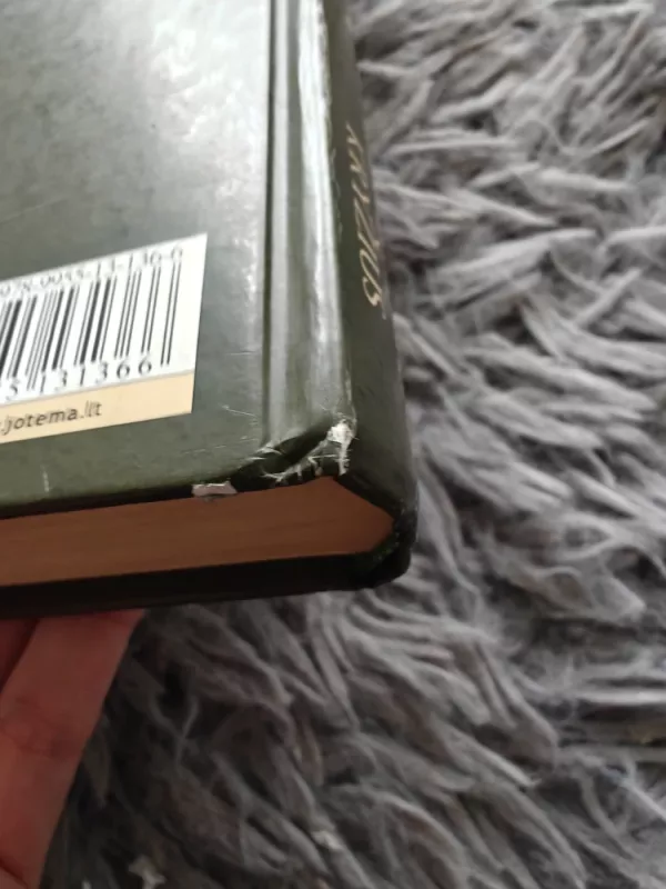 Morganos kryžius - Nora Roberts, knyga 4