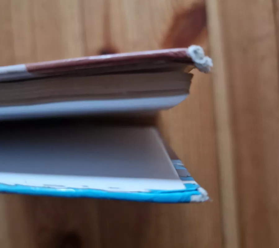 Donaldas ir kiti. Didysis traukinio apiplesimas ir juodosios pelkes paslaptis. - Walt Disney, knyga 4