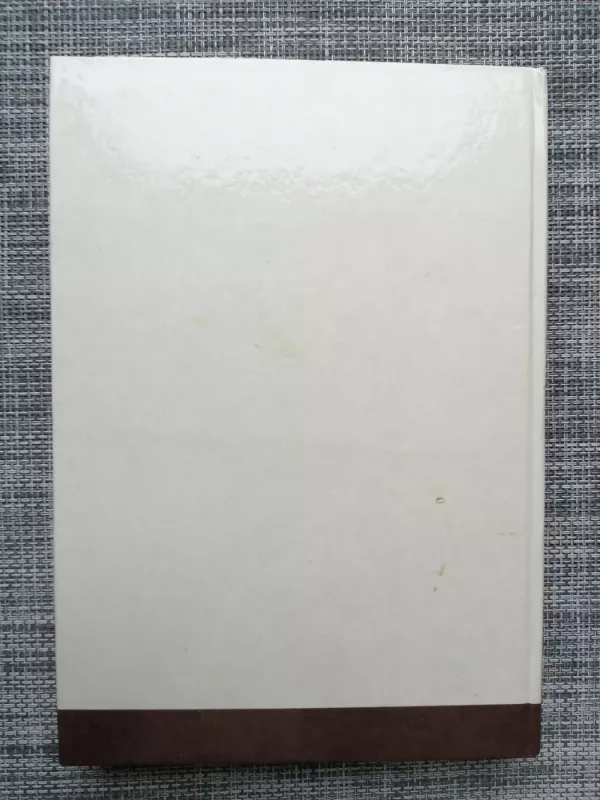 Vilniaus Šv. Onos bažnyčia. Vilniaus katedros rekonstrukcija - Vladas Drėma, knyga 4