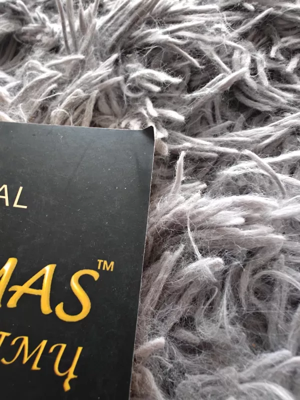 Teta gydymas. Giluminių įsitikinimų ieškojimas - Vianna Stibal, knyga 3