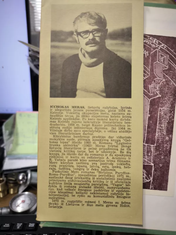 Striptizas arba Paryžius-Roma-Paryžius - Icchokas Meras, knyga 3