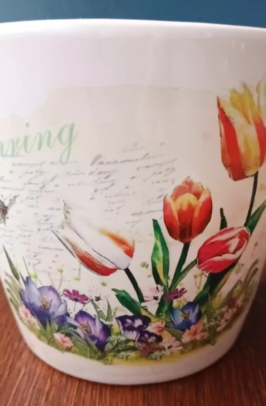 Keraminis vazonas gėlėms 16,5x14cm - , namai ir interjeras 3