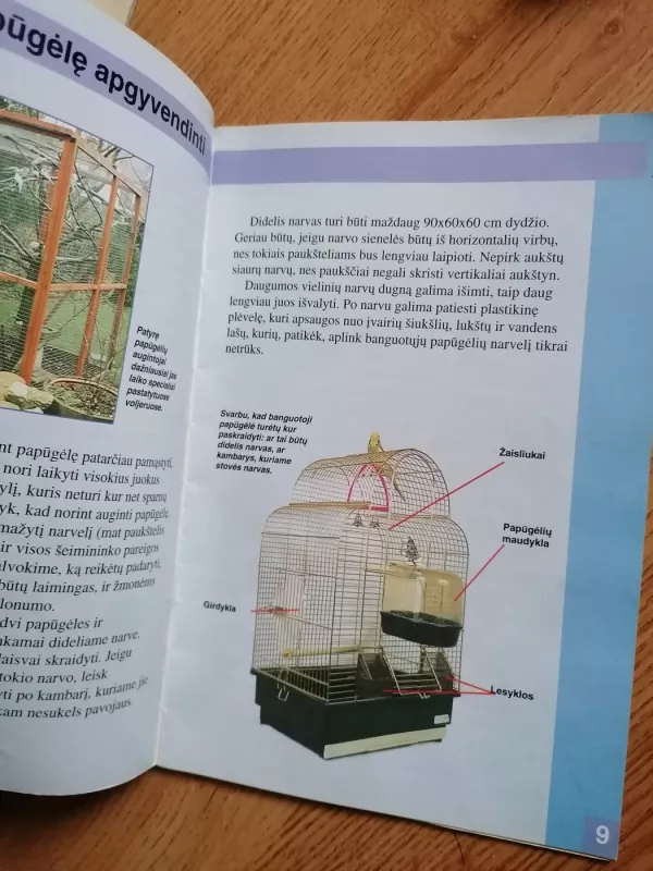 Mano augintinis vokiečių aviganis, akvariumo žuvelės,papugele, Kanarele, žiurkėnas, sausumos vezlys - Autorių kolektyvas, knyga 6