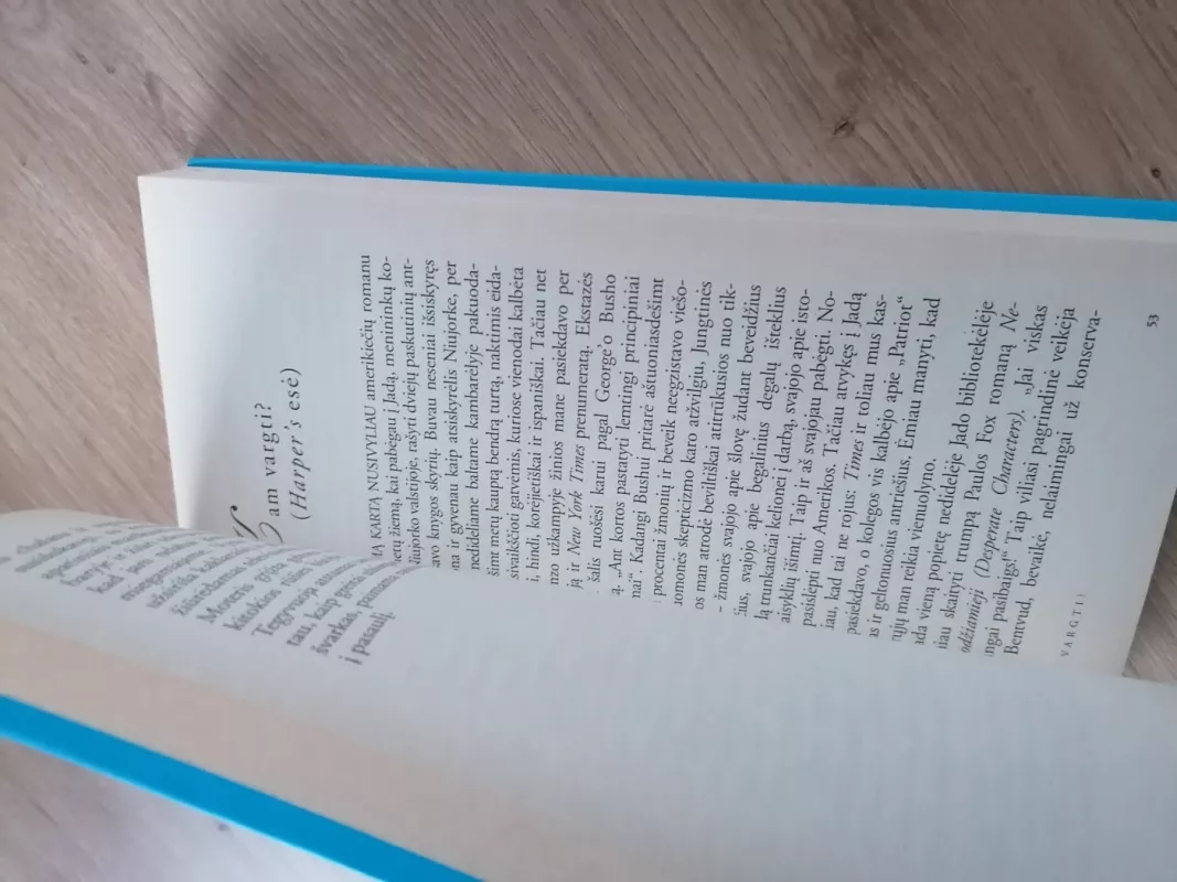 Kaip būti vienam - Jonathan Franzen, knyga 6