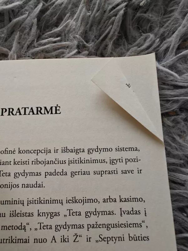 Teta gydymas. Giluminių įsitikinimų ieškojimas - Vianna Stibal, knyga 4