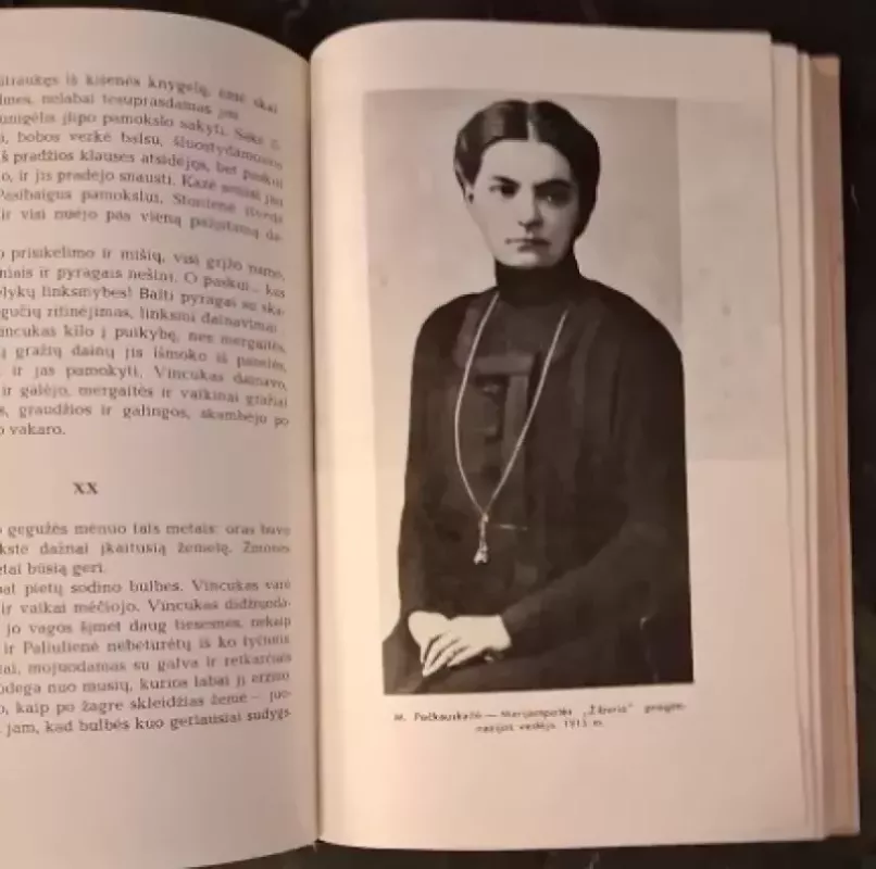 Sename dvare -  Šatrijos Ragana, knyga 3