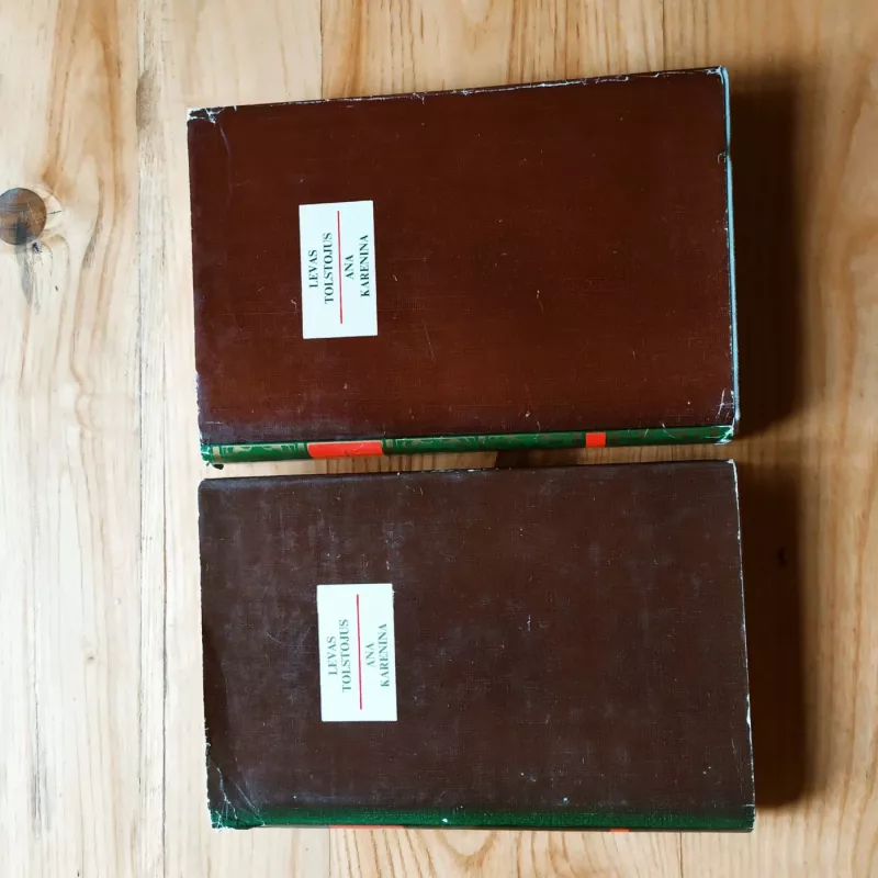 Ana Karenina (I, II tomai) - Levas Tolstojus, knyga 3