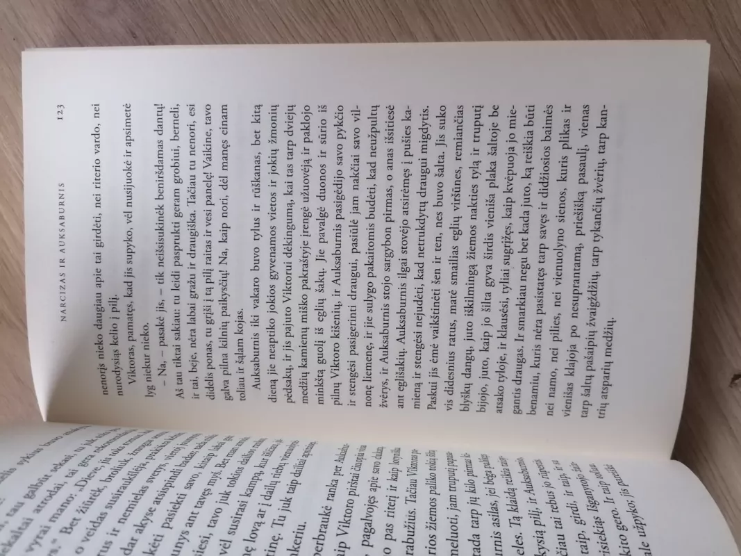 Narcizas ir Auksaburnis - Hermann Hesse, knyga 5