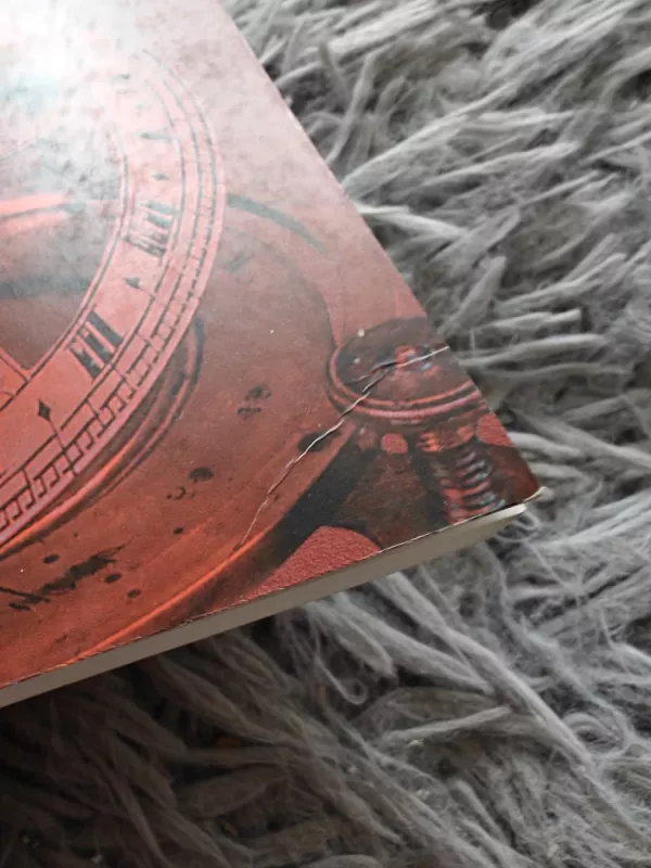 Nusikaltimų kontrolė kaip pramonė - Nils Christie, knyga 3