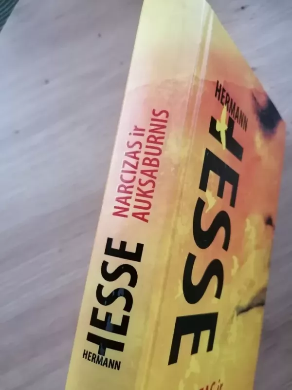 Narcizas ir Auksaburnis - Hermann Hesse, knyga 3
