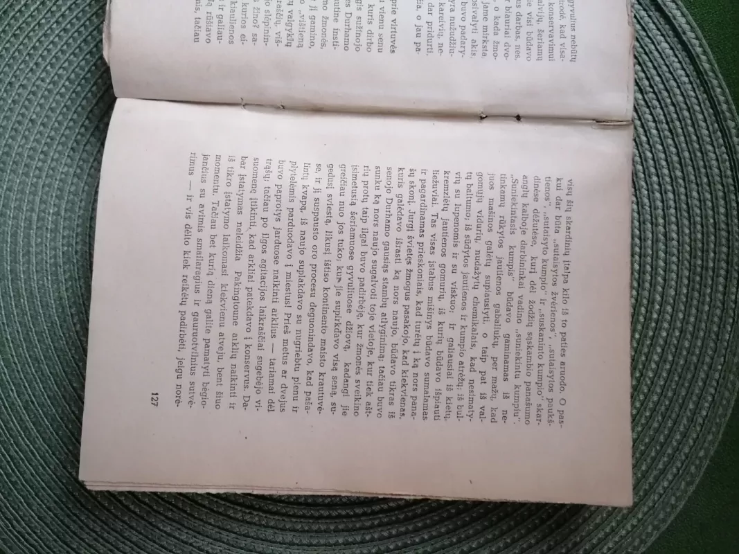 Džiunglės - Upton Sinclair, knyga 6