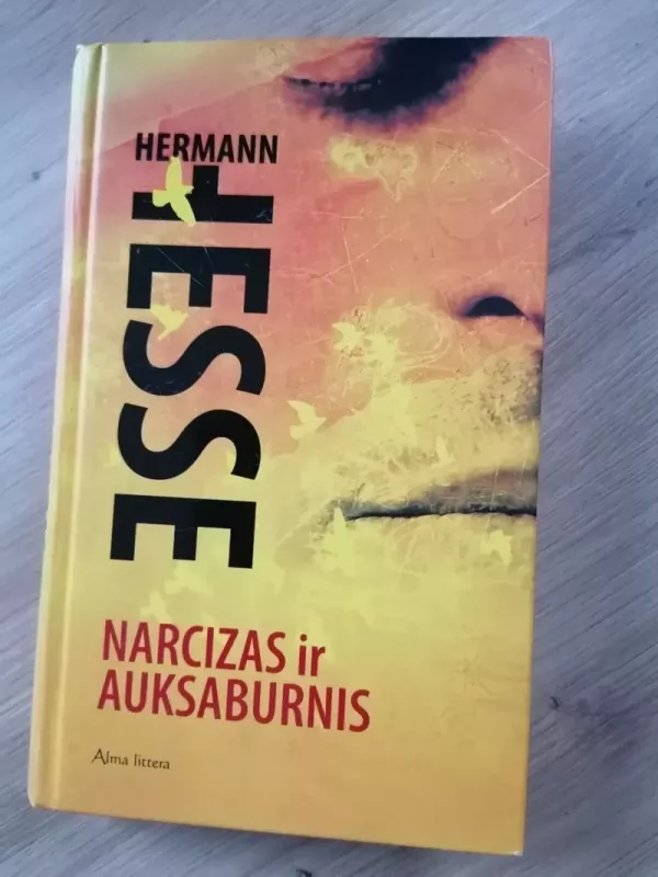 Narcizas ir Auksaburnis - Hermann Hesse, knyga 2