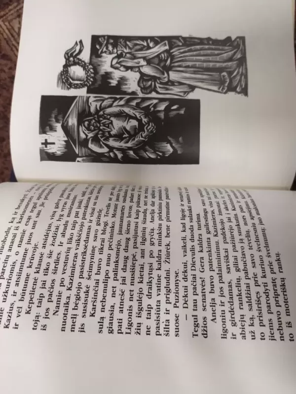 Nebylys -  Vaižgantas, knyga 3