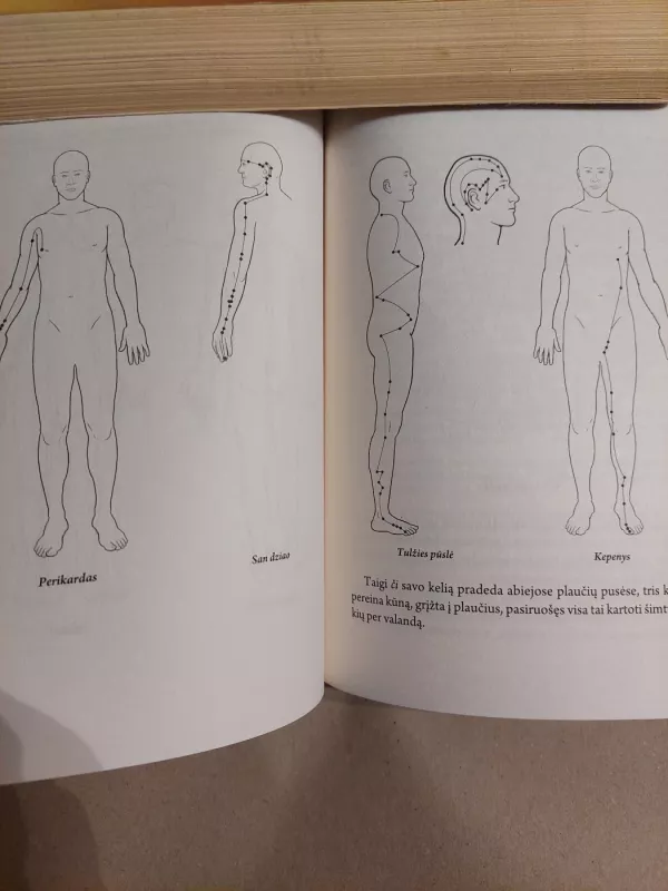 Kinų medicina šiuolaikiniame pasaulyje - E. Douglas Kihn, knyga 4