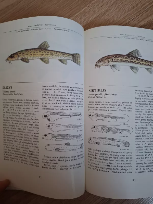 Lietuvos žuvys - Juozas Virbickas, knyga 4