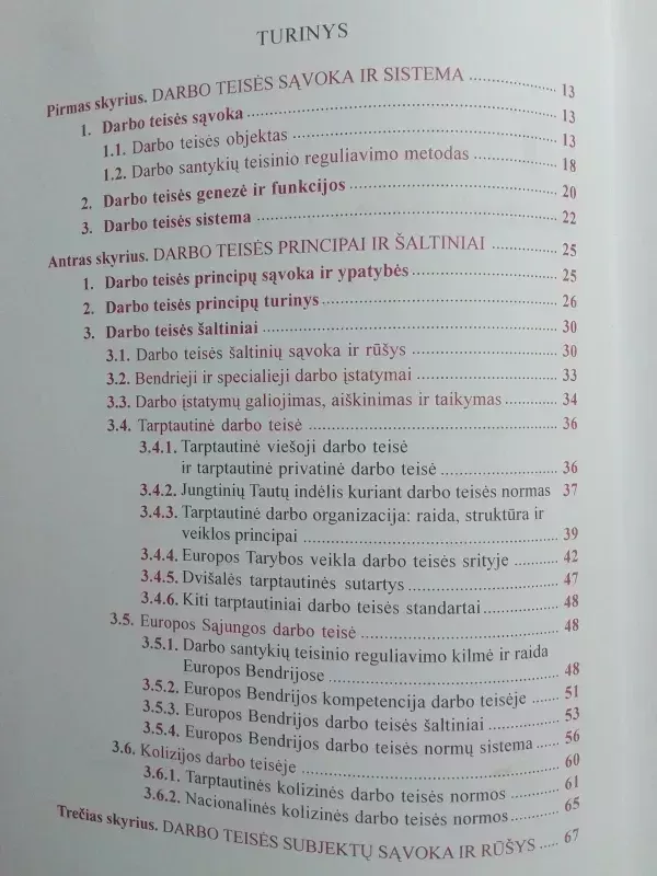 Darbo teisė. Vadovėlis - Autorių Kolektyvas, knyga 6