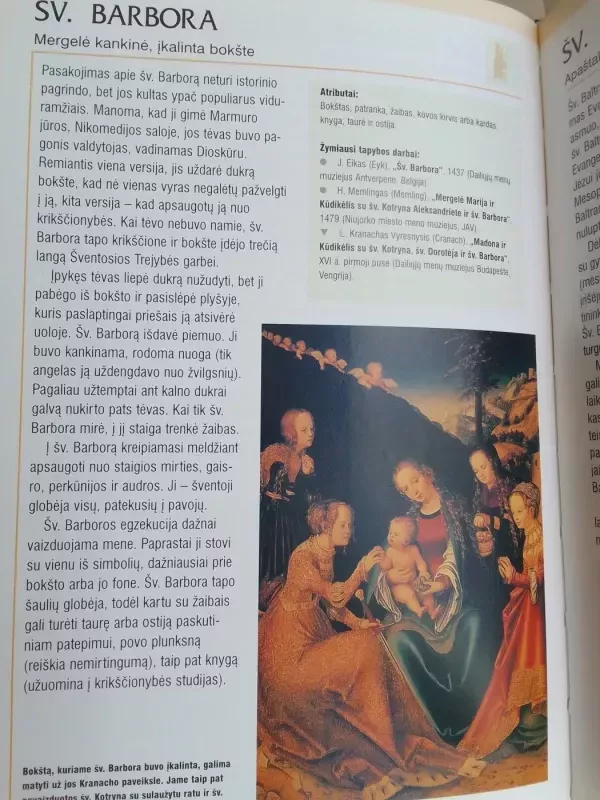 Vadovas po paveikslų galeriją: kaip suprasti Vakarų meną - Marcus Lodwick, knyga 6