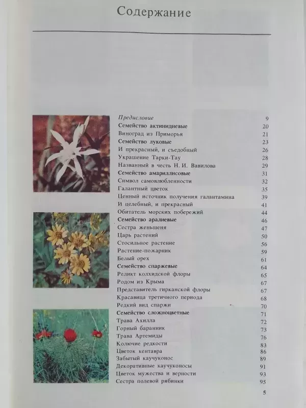 Reti ir nykstantys augalai (knyga rusų kalba) - V.I. Artamonov, knyga 3