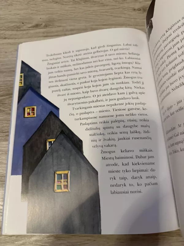 Debesėlis ieško vardo ir kitos pasakos - Gintarė Adomaitytė, knyga 2