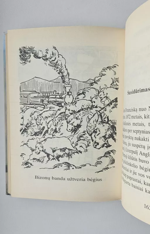 Aplink pasaulį per 80 dienų. Iliustruota Didžioji Klasika. Nr. 4 - Žiulis Vernas, knyga 4