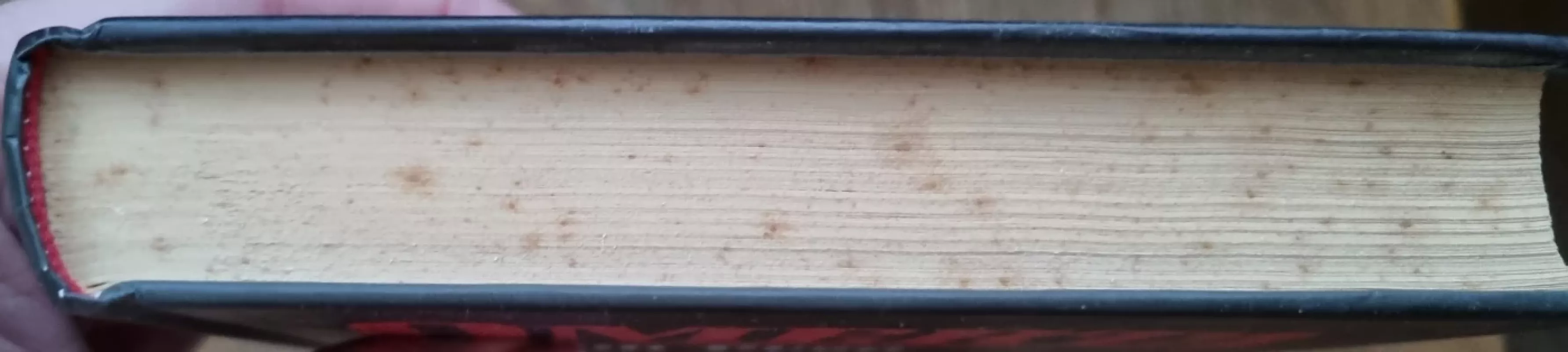 Omerta - Marijo Pjuzo, knyga 2