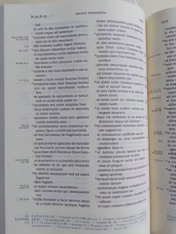 Biblia sacra vulgata - Autorių Kolektyvas, knyga 4