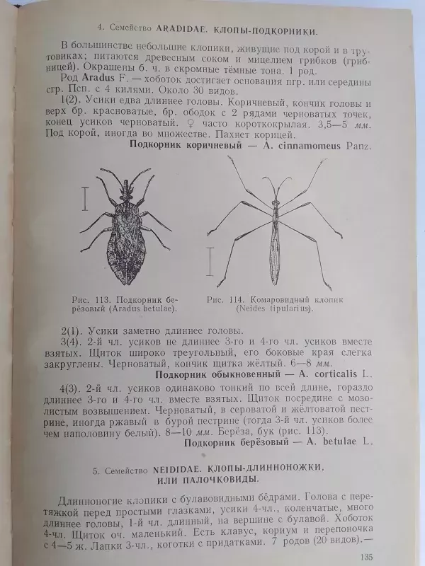 Vabzdžių žinynas (rusų kalba) - N.N. Plavilščikovas, knyga 6