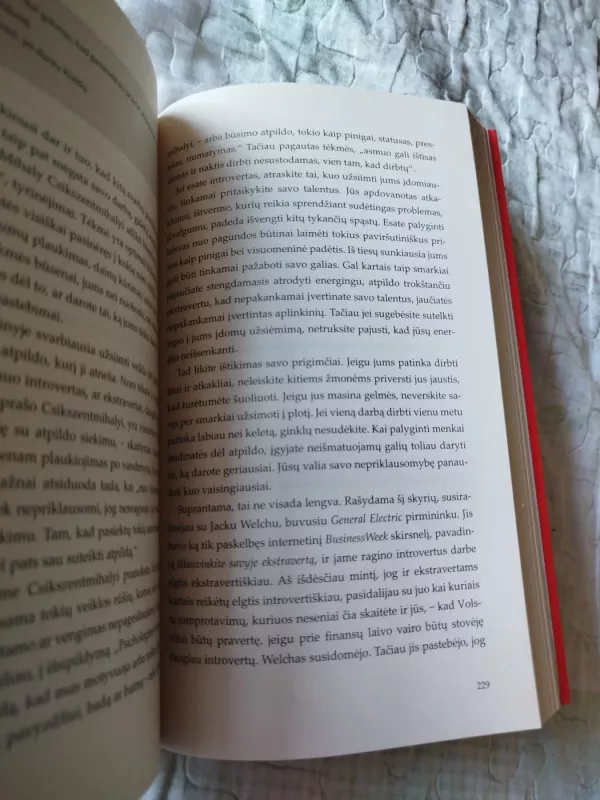 Tyla. Introvertų galia pasaulyje, kuris nesiliauja kalbėjęs - Susan Cain, knyga 4