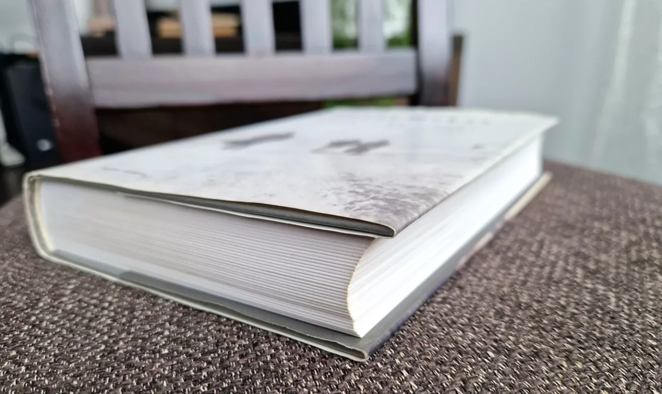 Žmogus be vietos: nervuoti dienoraščiai - Jonas Mekas, knyga 5