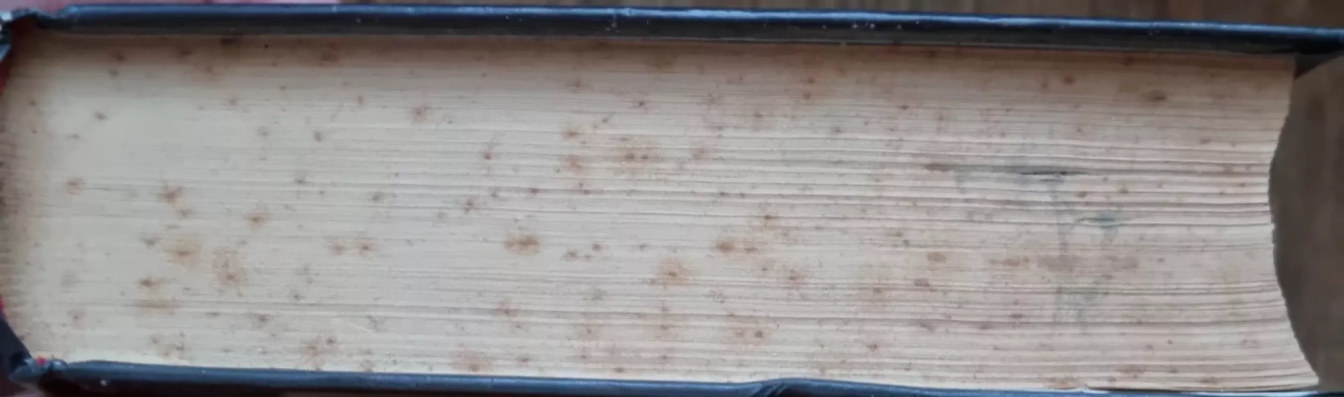 Paskutinis Donas - Mario Puzo, knyga 3