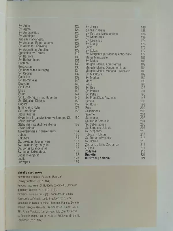 Vadovas po paveikslų galeriją: kaip suprasti Vakarų meną - Marcus Lodwick, knyga 4