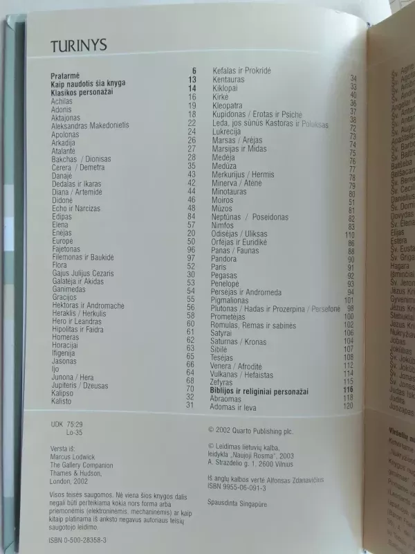 Vadovas po paveikslų galeriją: kaip suprasti Vakarų meną - Marcus Lodwick, knyga 3