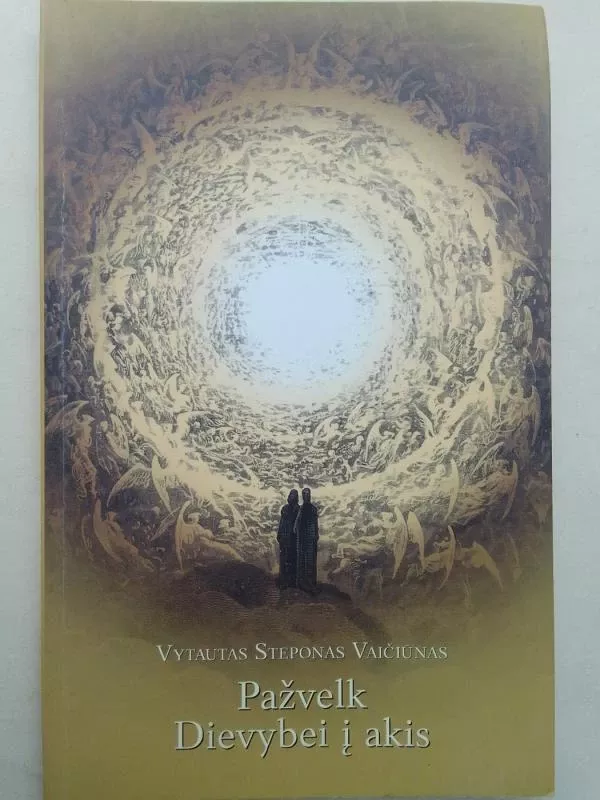 Pažvelk Dievybei į akis - Vytautas Steponas Vaičiūnas, knyga 2