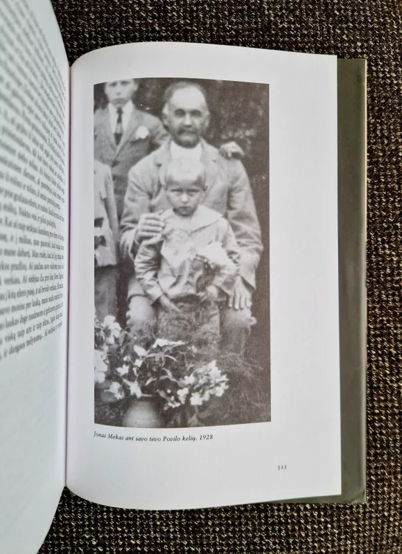 Žmogus be vietos: nervuoti dienoraščiai - Jonas Mekas, knyga 3