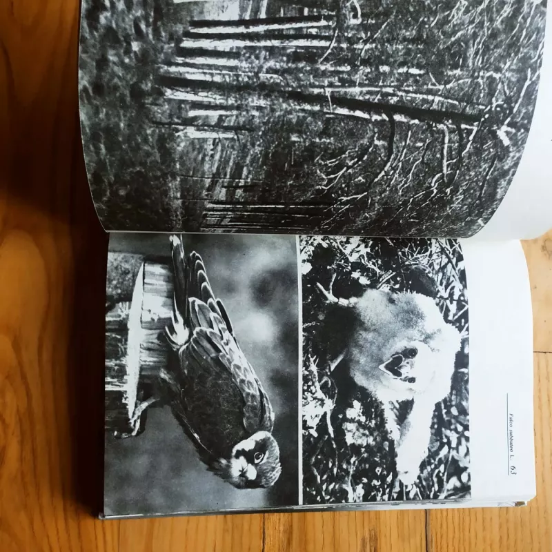 Lietuvos miškų paukščiai - A. Navasaitis, knyga 6