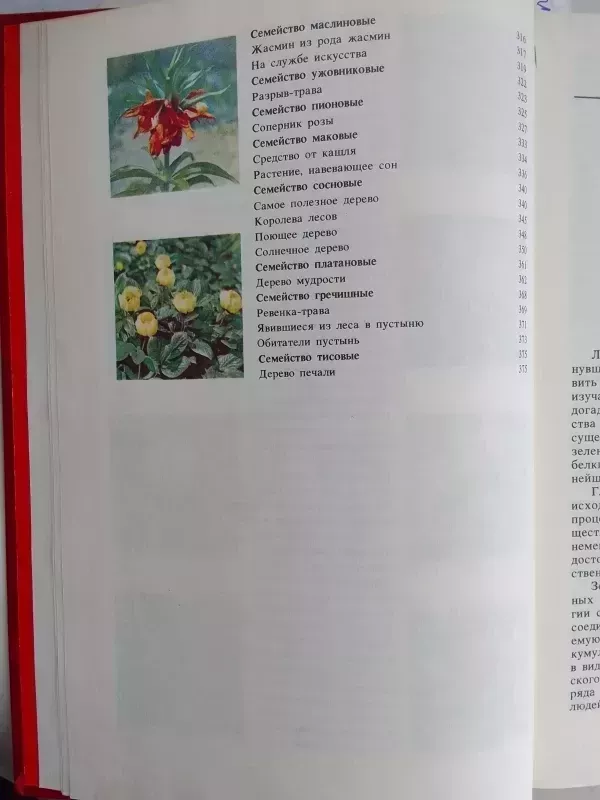 Reti ir nykstantys augalai (knyga rusų kalba) - V.I. Artamonov, knyga 6