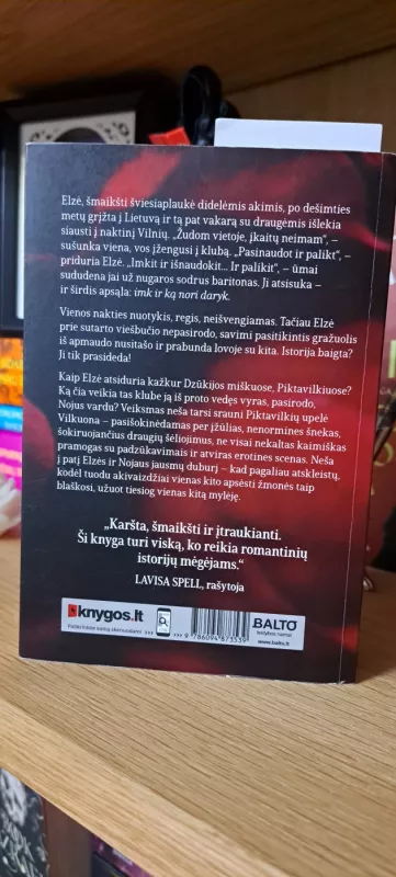 Nuodas - Ilona Madelaine, knyga 4