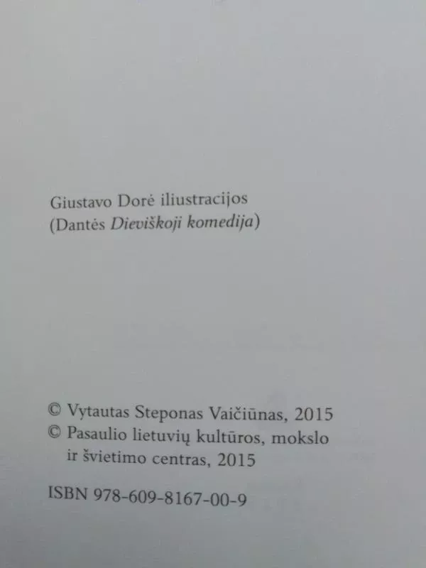 Pažvelk Dievybei į akis - Vytautas Steponas Vaičiūnas, knyga 4