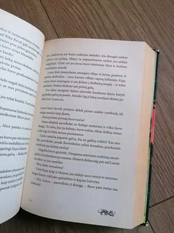 Laura ir sidabrinės Sfinksės mįslę - Peter Freund, knyga 6