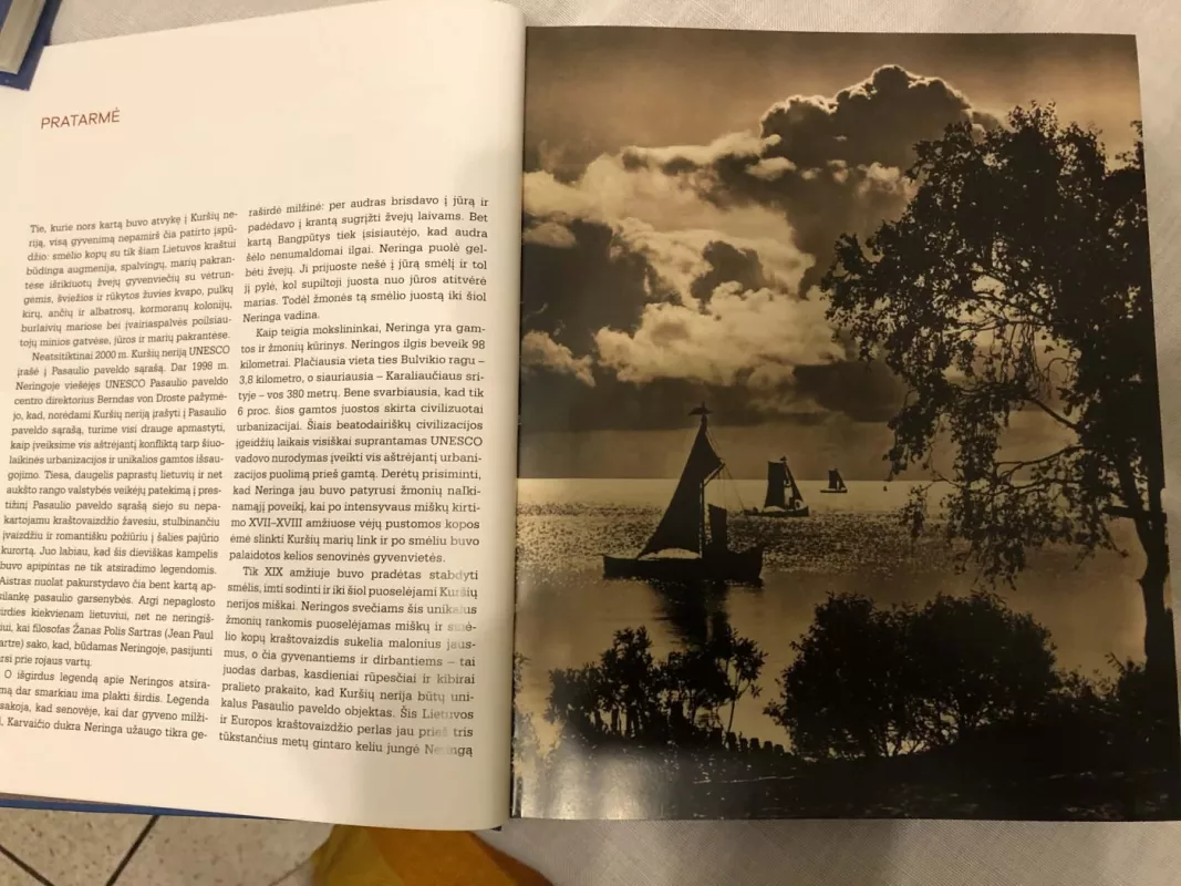 Vaikas, nusileidęs iš dangaus. Vygando Telksnio asmenybės fenomenas - Rita Aleknaitė-Bieliauskienė, knyga 3